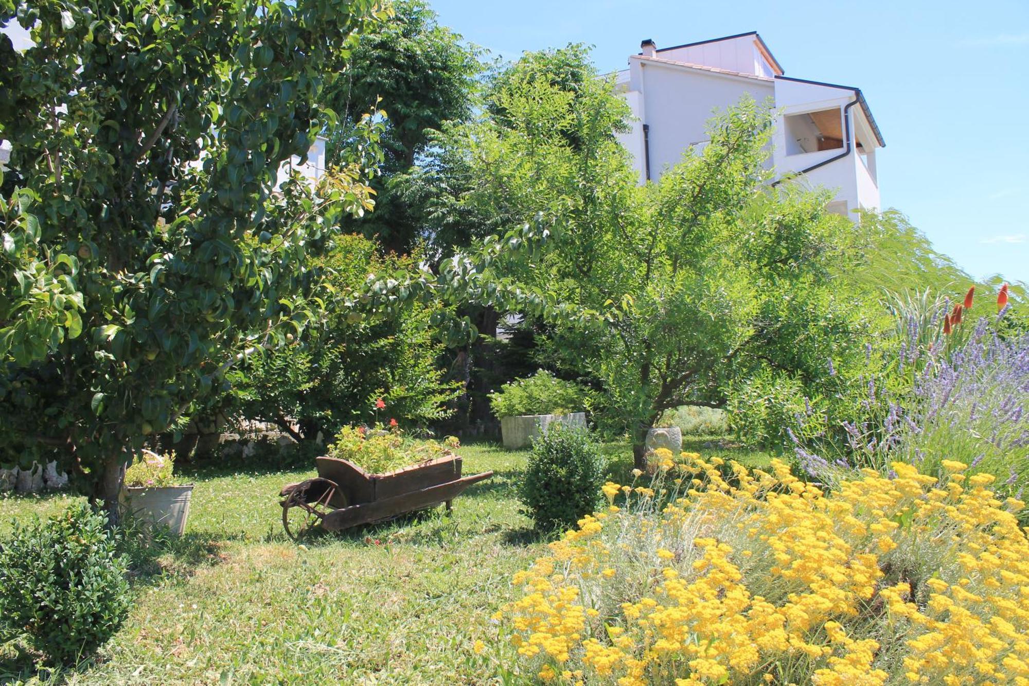 Apartments 501 - Rab Island Oasis Retreat Supetarska Draga Exterior photo