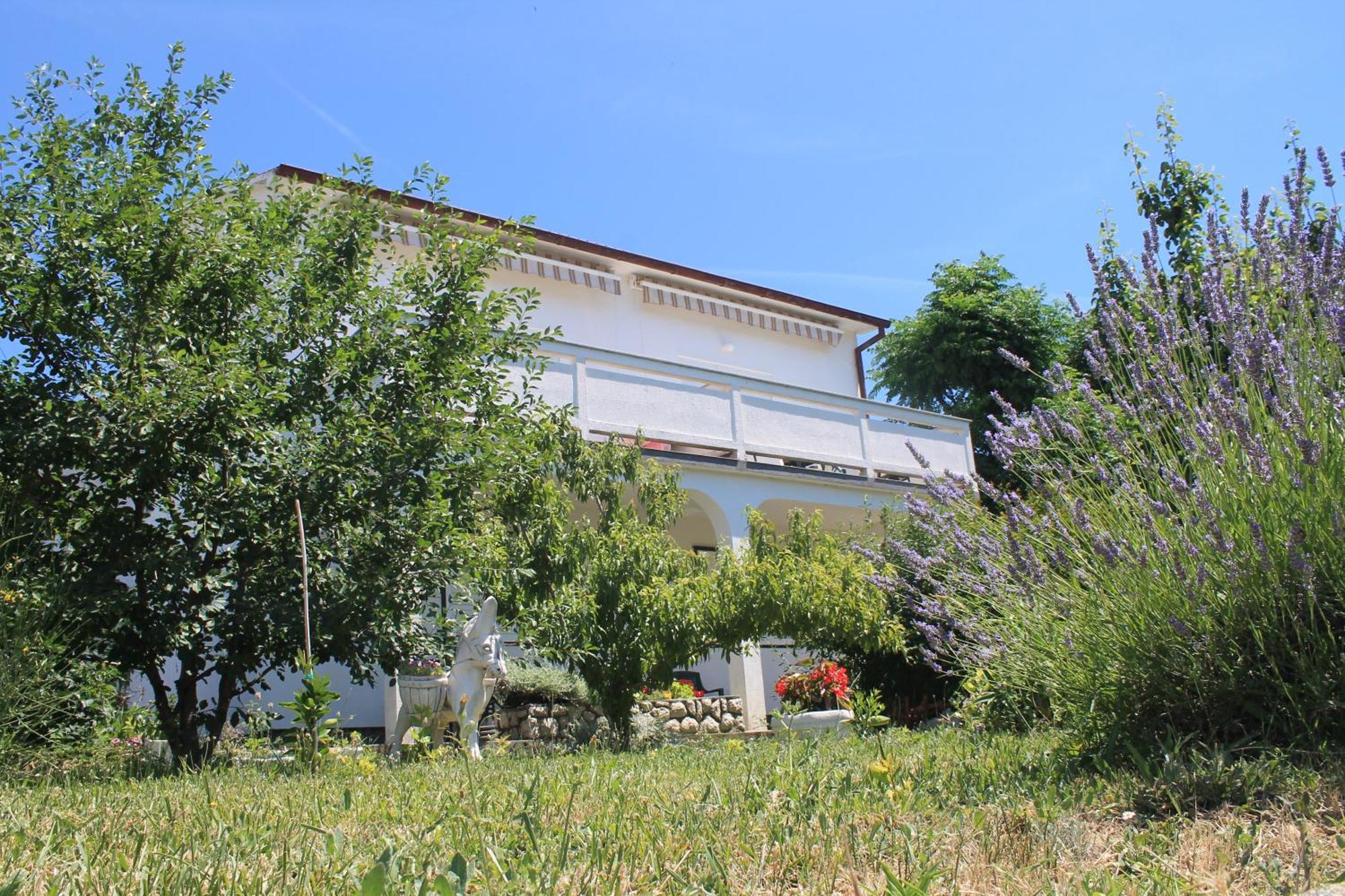 Apartments 501 - Rab Island Oasis Retreat Supetarska Draga Exterior photo