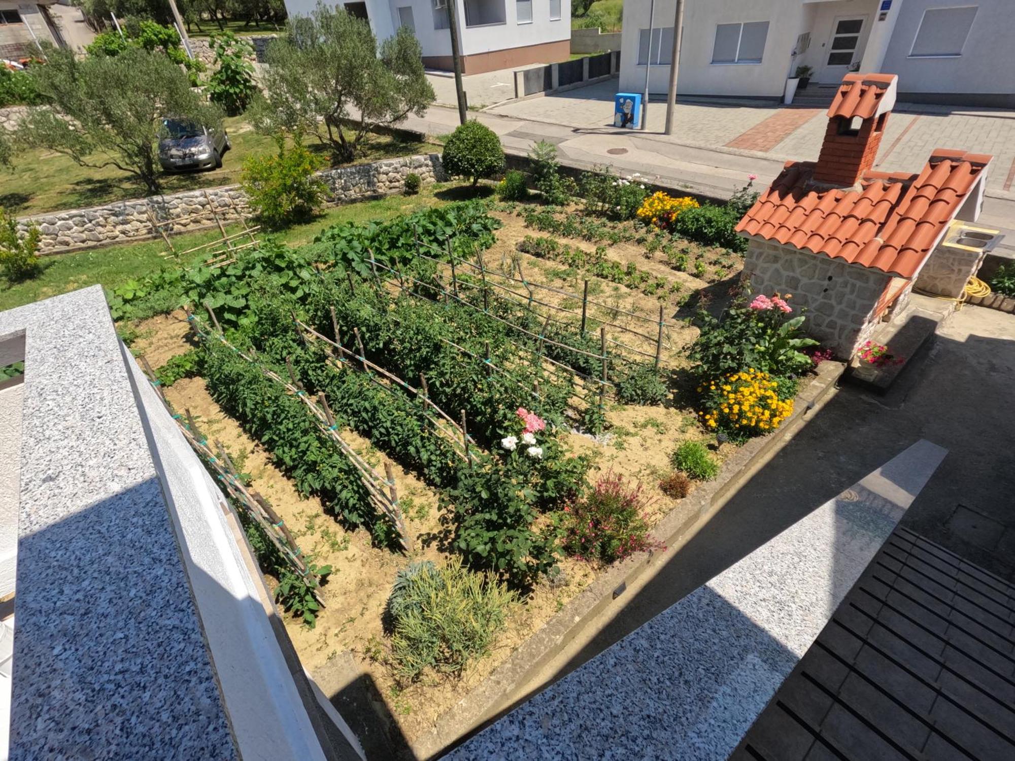 Apartments 501 - Rab Island Oasis Retreat Supetarska Draga Exterior photo